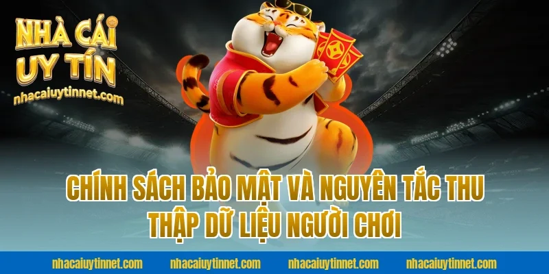 Chính sách bảo mật và nguyên tắc thu thập dữ liệu người chơi