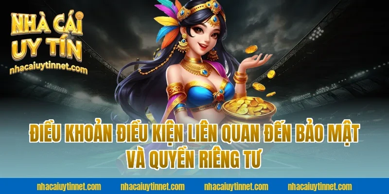 Điều Khoản Điều Kiện Liên Quan Đến Bảo Mật Và Quyền Riêng Tư