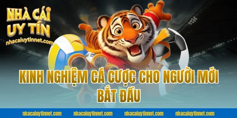 Kinh nghiệm cá cược cho người mới bắt đầu