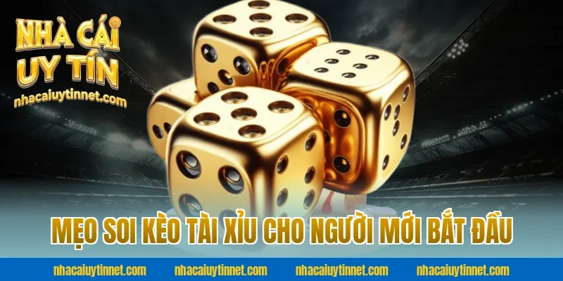 Mẹo soi kèo tài xỉu cho người mới bắt đầu
