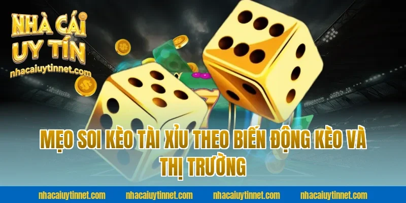 Mẹo soi kèo tài xỉu theo biến động kèo và thị trường