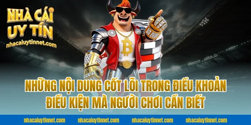 Những Nội Dung Cốt Lõi Trong Điều Khoản Điều Kiện Mà Người Chơi Cần Biết