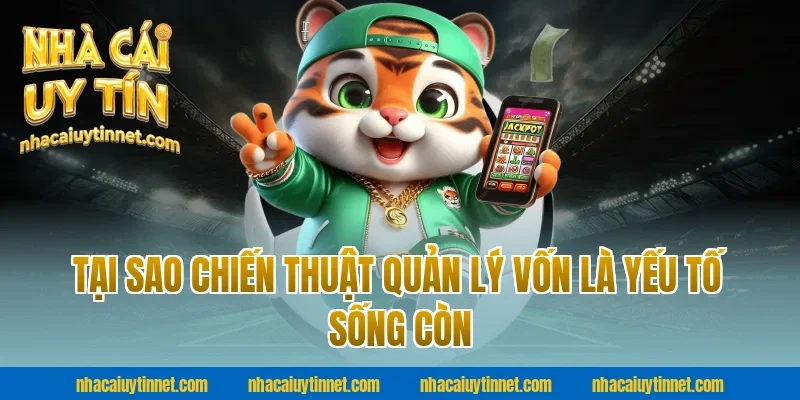 Tại Sao Chiến Thuật Quản Lý Vốn Là Yếu Tố Sống Còn