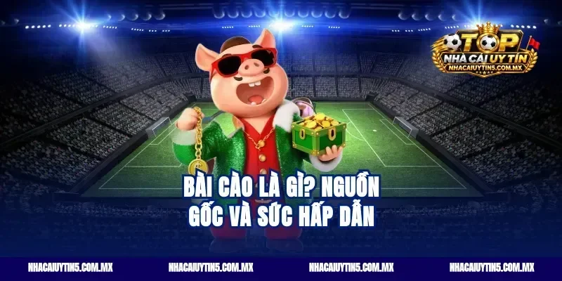 Bài cào là gì? Nguồn gốc và sức hấp dẫn