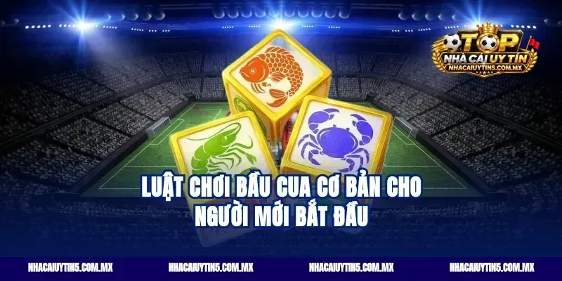 Luật chơi Bầu Cua cơ bản cho người mới bắt đầu