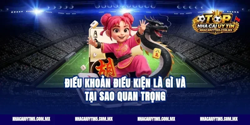 Điều Khoản Điều Kiện Là Gì Và Tại Sao Quan Trọng
