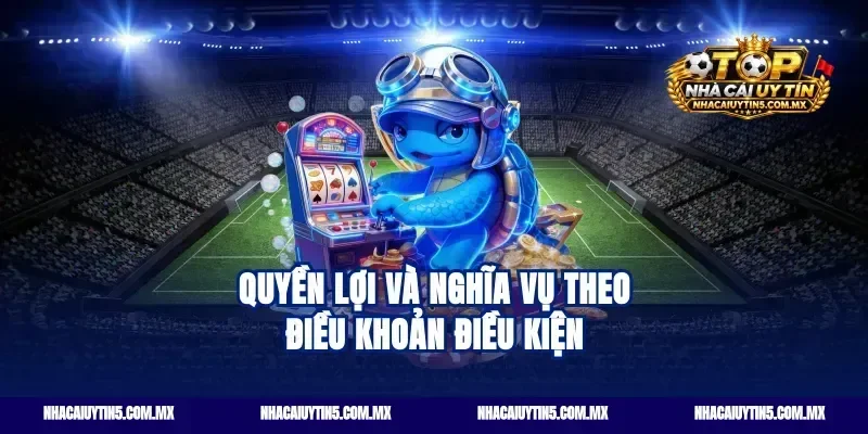 Quyền Lợi Và Nghĩa Vụ Theo Điều Khoản Điều Kiện