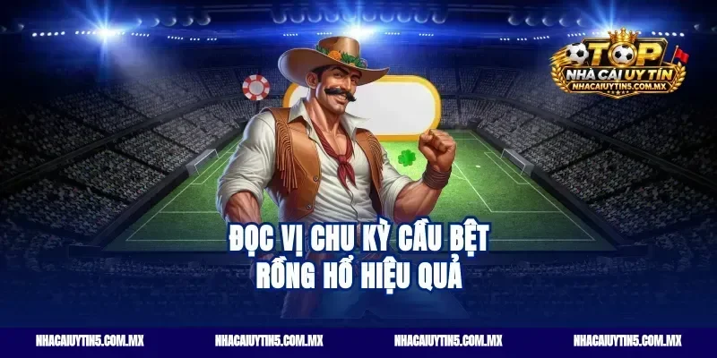 Đọc vị chu kỳ cầu bệt rồng hổ hiệu quả