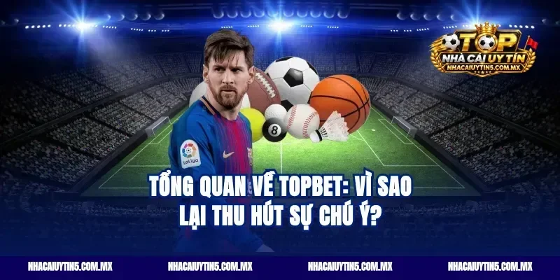 Tổng quan về Topbet: Vì sao lại thu hút sự chú ý?